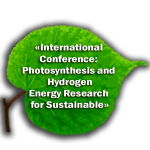 Photosynthesis and Hydrogen Energy Research for Sustainability